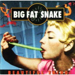 Big Fat Snake - Beautiful Thing (Elap) (2001)