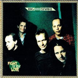 Big Fat Snake - Fight For Your Love (1996)