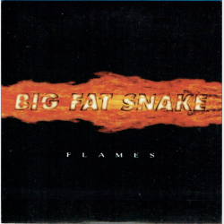 Big Fat Snake - Flames (CD06 Fra The Box) (2005)