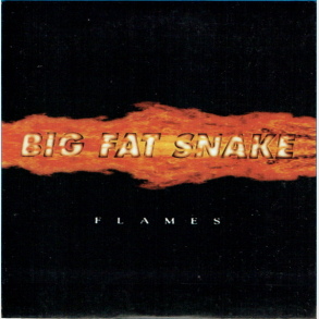 Big Fat Snake - Flames (CD06 Fra The Box) (2005)