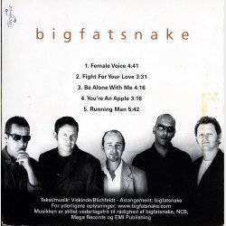 Big Fat Snake - Hj�lp Uden Omveje (2001)