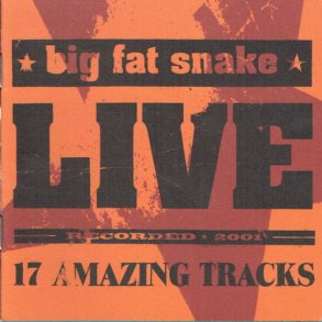Big Fat Snake - Live (17 Amazing Tracks) (2001) - NY