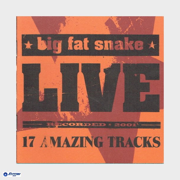 Big Fat Snake - Live (17 Amazing Tracks) (2001)