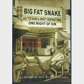 Big Fat Snake - One Night Of Sin (2003)