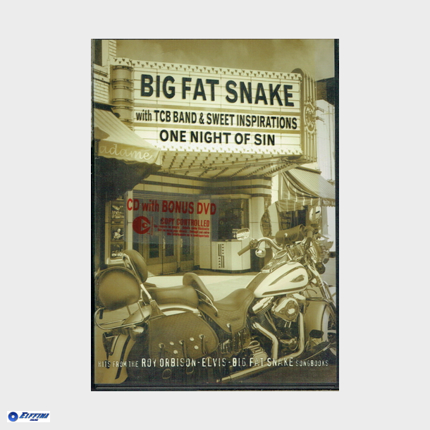 Big Fat Snake - One Night Of Sin (2003)