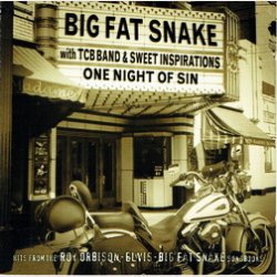 Big Fat Snake - One Night Of Sin (2003)