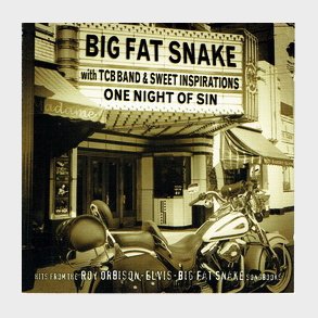 Big Fat Snake - One Night Of Sin (2003)