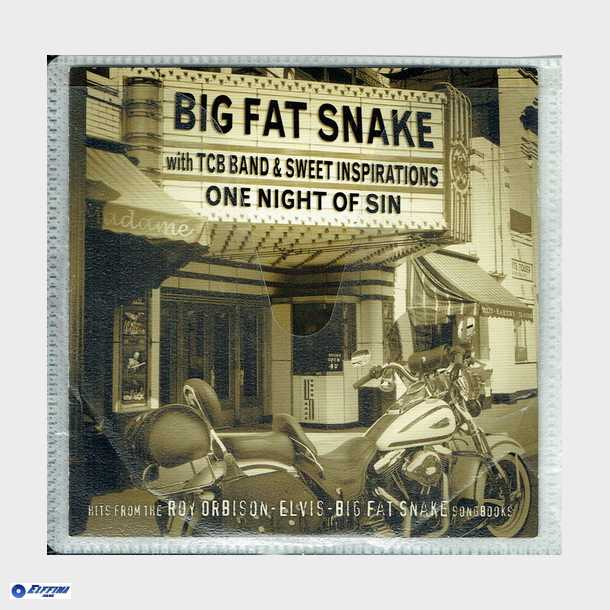 Big Fat Snake - One Night Of Sin (Plast)