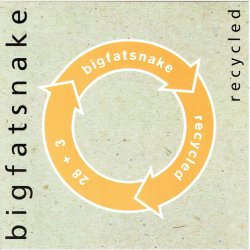 Big Fat Snake - Recycled (2005) (Jewel)