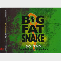 Big Fat Snake - So Sad (1997)