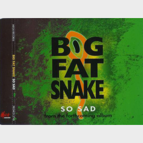 Big Fat Snake - So Sad (1997)