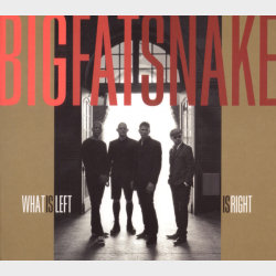 Big Fat Snake - What Is Left Is Right (2009) (Digi)