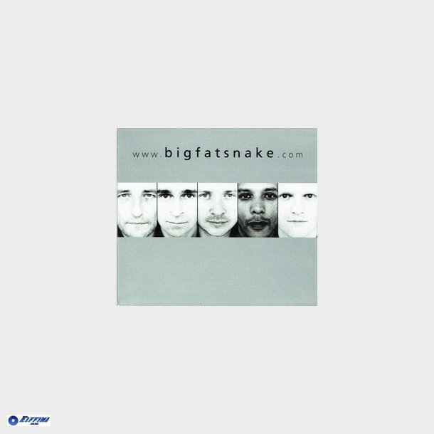 Big Fat Snake - WwwBigfatsnakeCom (1998) (Digi)