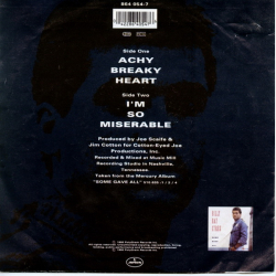 Billy Ray Cyrus - Achy Breaky Heart (1992)
