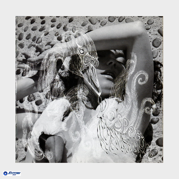 Bjrk - Vespertine (2001)