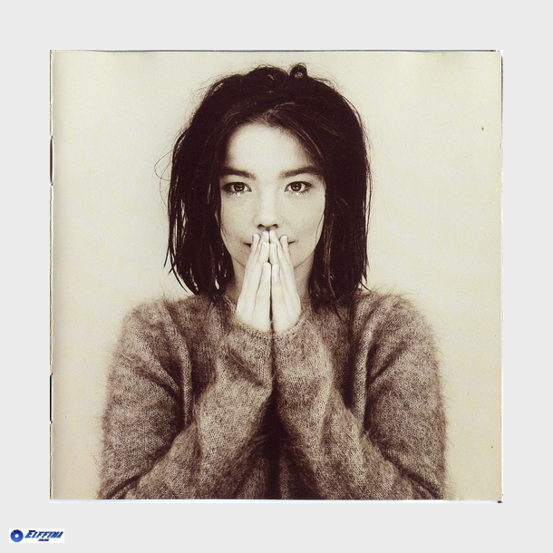 Bjrk - Debut (1993)