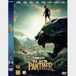 Black Panther (2018)