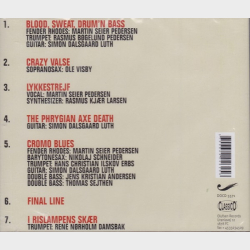 Blood, Sweat Drum 'N Bass Big Band - Blood, Sweat Drum 'N Bass Big Band (2003)