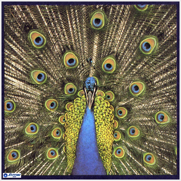 Bluetones - Expecting To Fly (1996)
