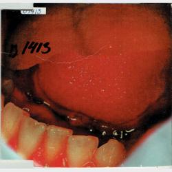 Boghandle - What's Going On (1995)