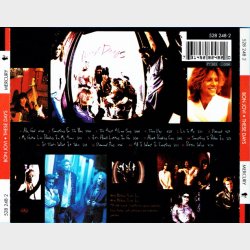 Bon Jovi - These Days (1995)