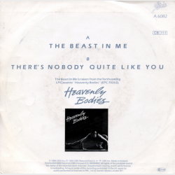 Bonnie Pointer - The Beast In Me (1984)