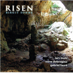 Birgit Sonne - Risen (2010)