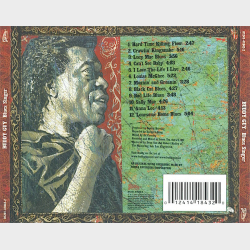 Buddy Guy - Blues Singer (2003)