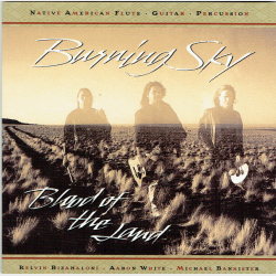 Burning Sky - The Blood Of The Land (1995)