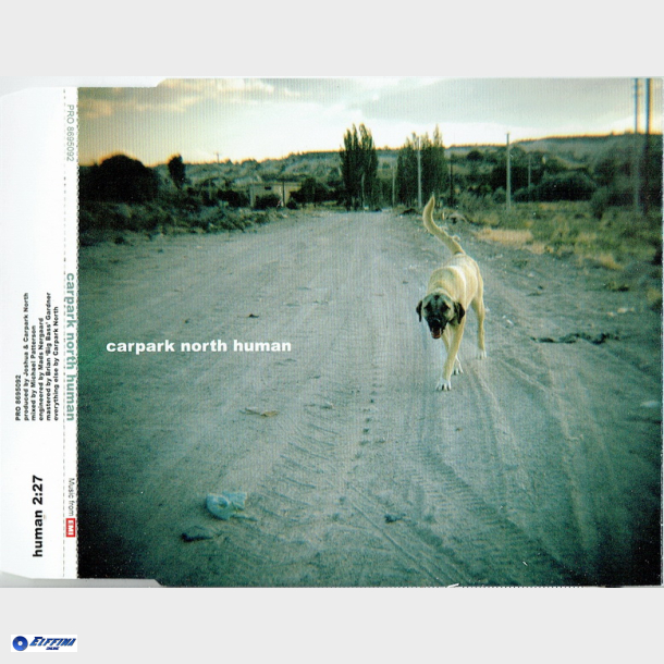 Carpark North - Human (Slim)