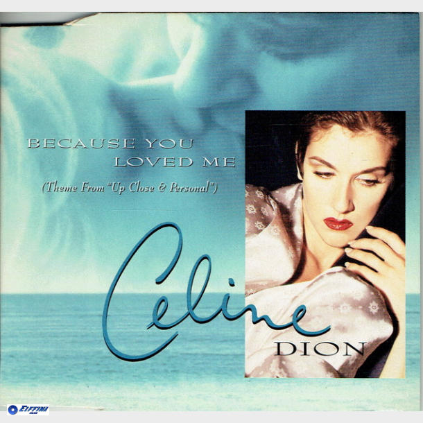 Celine Dion - Because You Loved Me (1996)