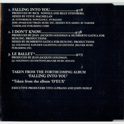 Celine Dion - Falling Into You (1996)