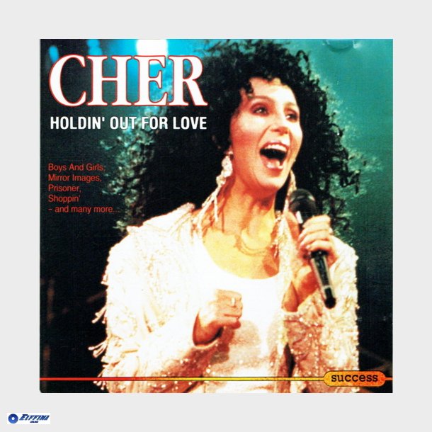 Cher - Holdin' Out For Love (1993)