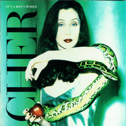 Cher - It's A Man's World (1995)