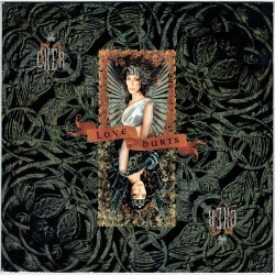 Cher - Love Hurts (1991)