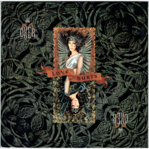 Cher - Love Hurts (1991)