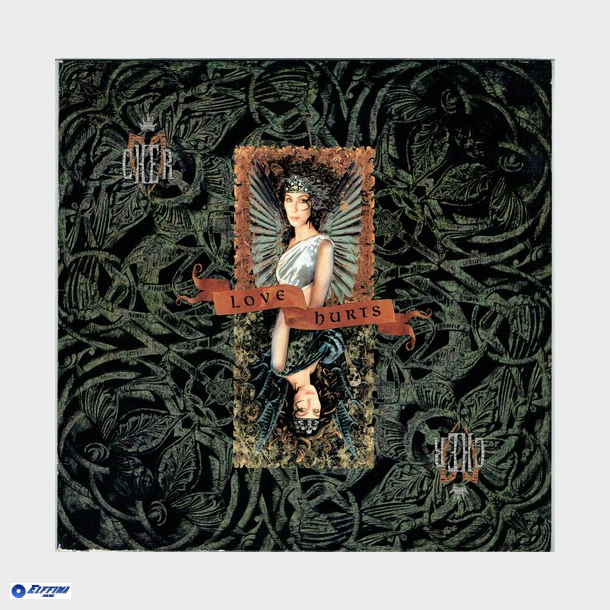 Cher - Love Hurts (1991)