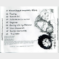 Clean Boys - Almost Happy And Completely Stupid (2013)
