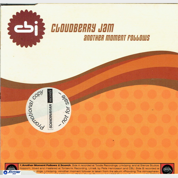 Cloudberry Jam - Another Moment Follows (1996)