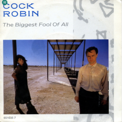 Cock Robin - The Biggest Fool Of All (1987)