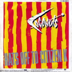 Coconuts, The - Did You Have To Love Me Like You Did (1983)