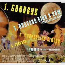 Coral, The - Goodbye (2002)