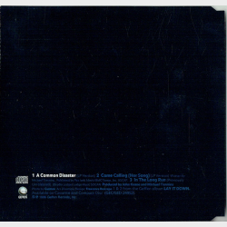 Cowboy Junkies - A Common Disaster (1996)