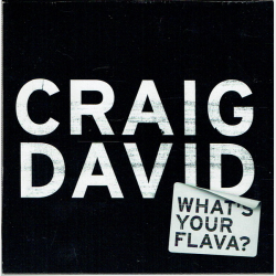 Craig David - What's Your Flava (2002) (Promo)