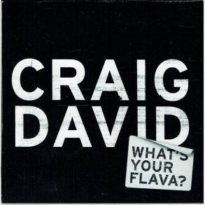 Craig David - What's Your Flava (2002) (Promo)