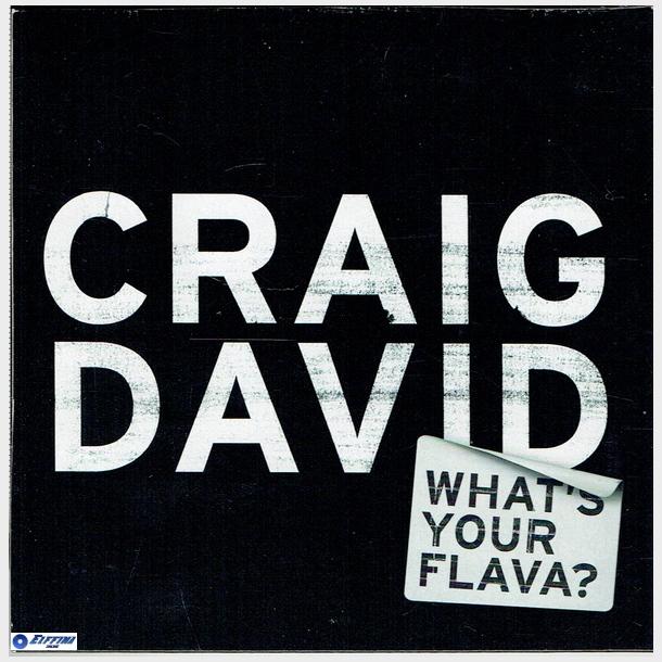Craig David - What's Your Flava (2002) (Promo)