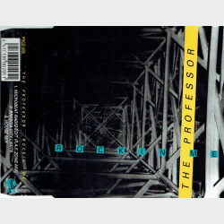 DJ Professor - Rockin Me