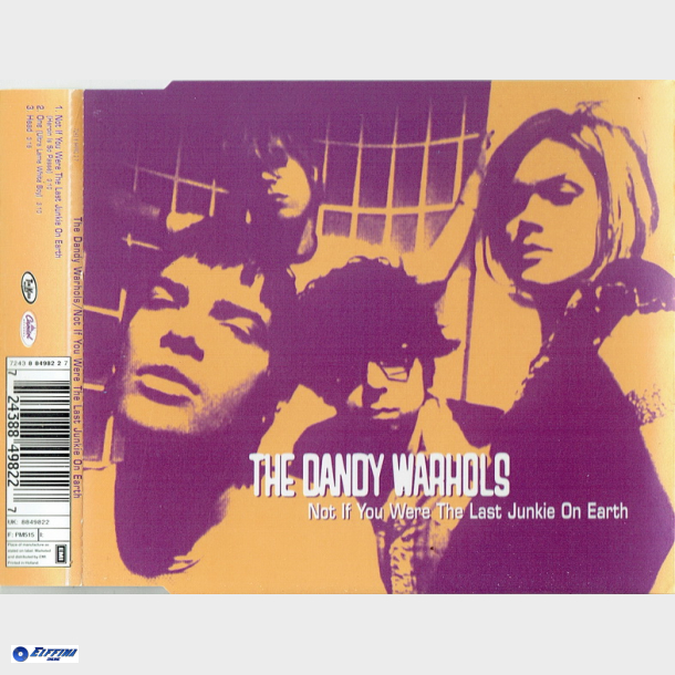 Dandy Warhols, The - Not If You Were The Last Junkie On Earth (1997)