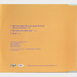 Dandy Warhols, The - Not If You Were The Last Junkie On Earth (1997)