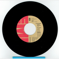 Danny Mirror - I Remember Elvis Presley (1977)